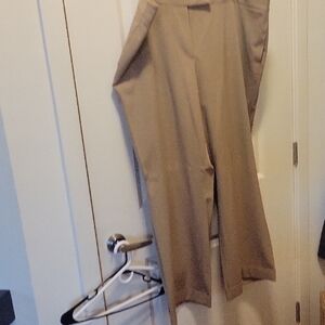 Lane Bryant Tan Women's Pants
